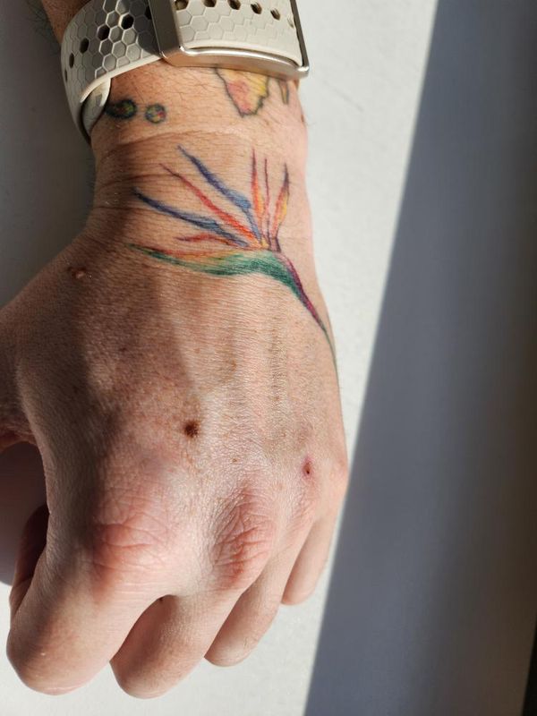 Bird of paradise tattoo