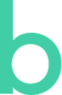 Budbee icon