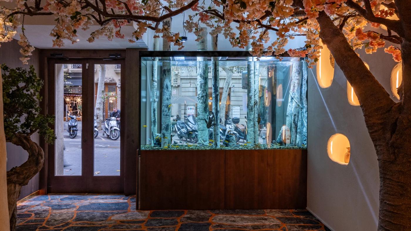 Bares de vermut en el Eixample Barcelona cerca de Arko Restaurant, con aperitivo tradicional catalán antes de una cena de sushi y cocina japonesa.