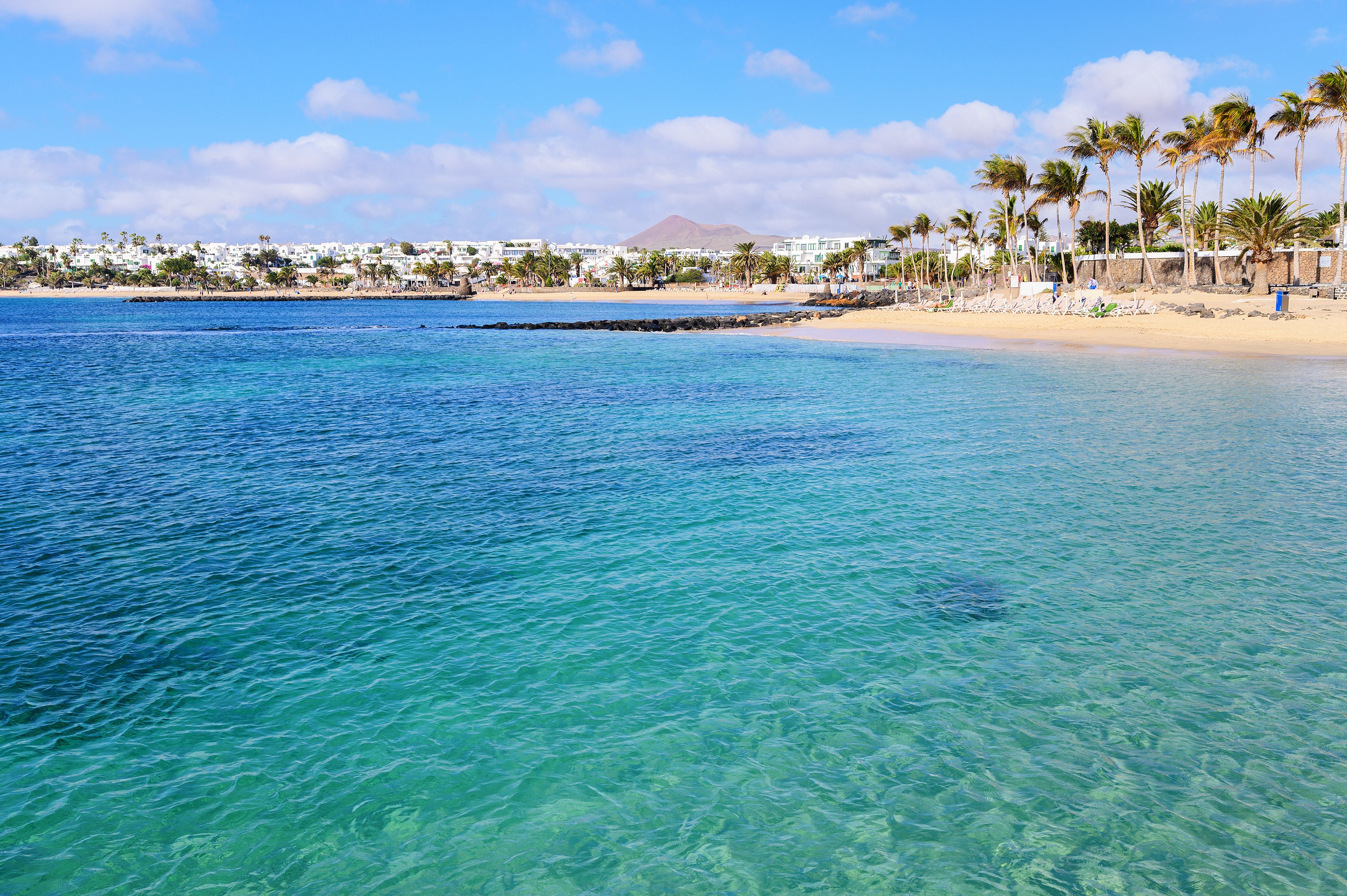 View of the Costa Teguise beach, blue sea, yellow sand, palm trees in Spain