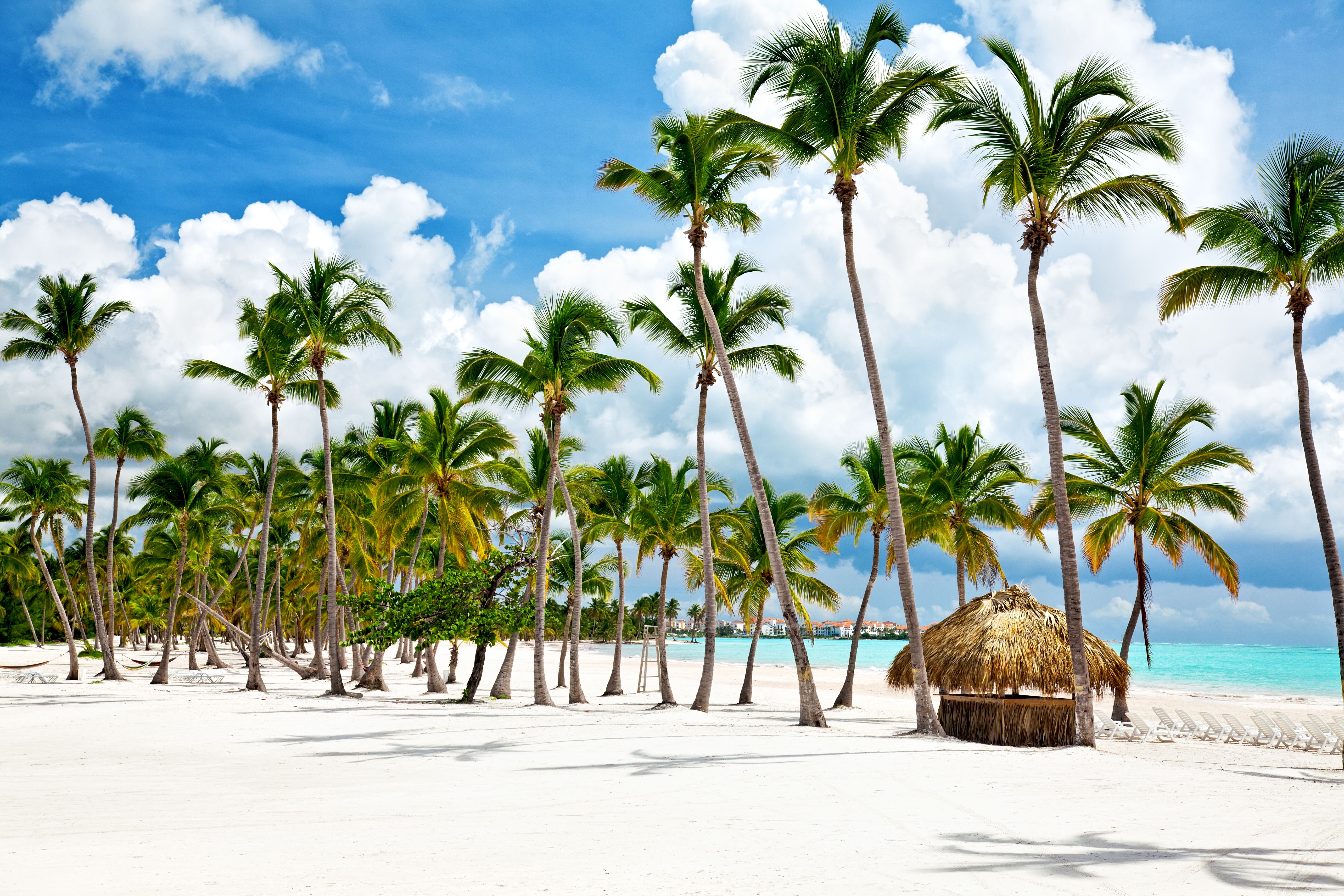 Cap Cana beach with white sand and palm trees in the Dominican Republic
