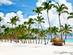 Cap Cana beach with white sand and palm trees in the Dominican Republic