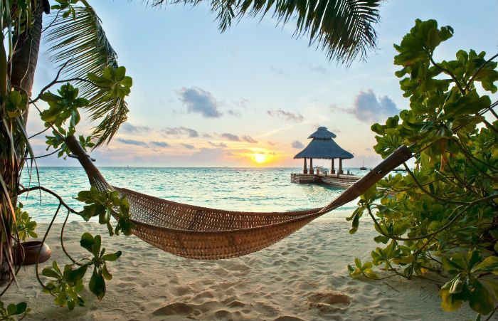 Hammock By Beach In The Maldives
