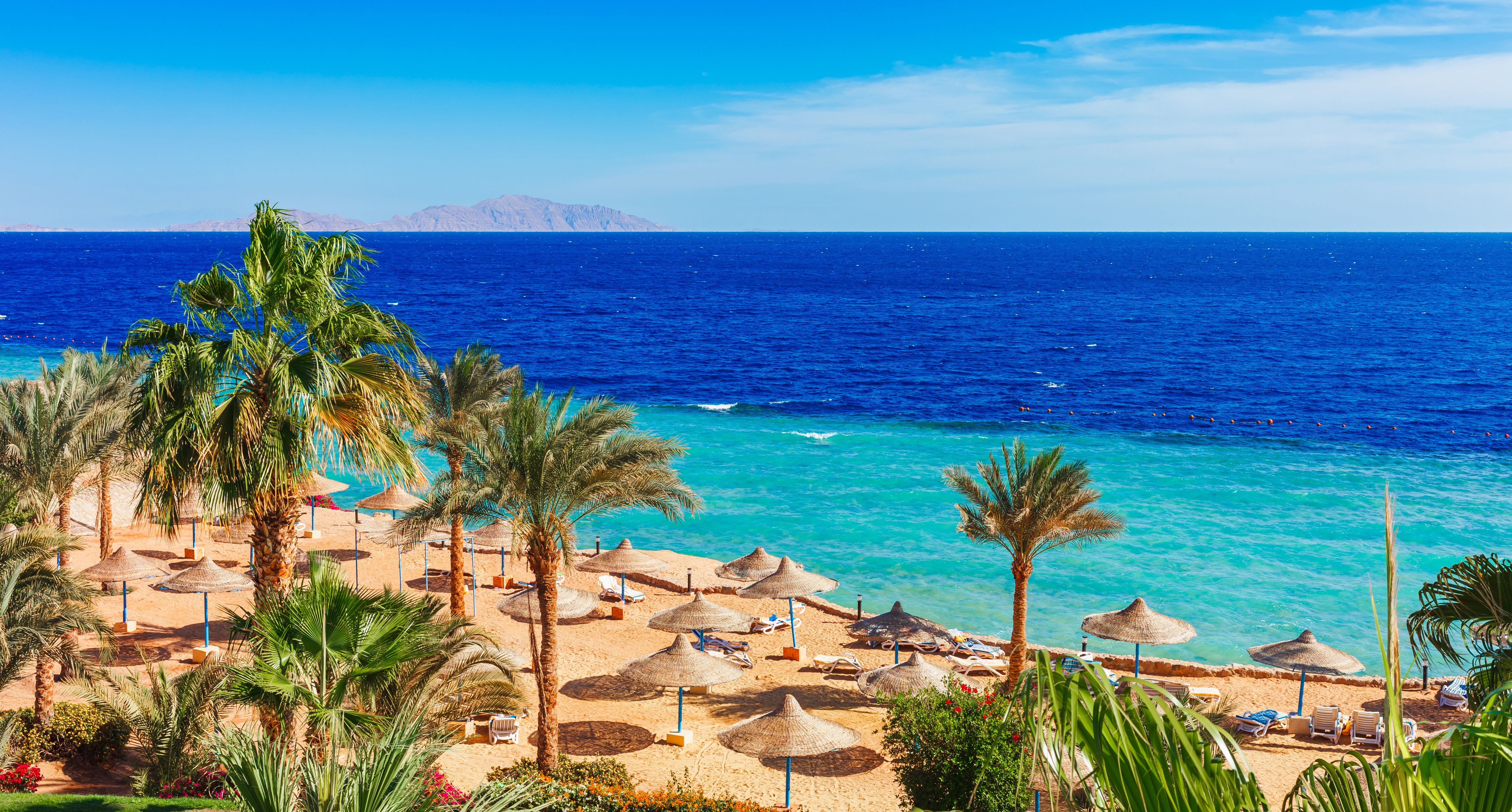 Beach on a hot summers day with palm trees and sunbathing spots on Red Sea in Sharm el Sheikh