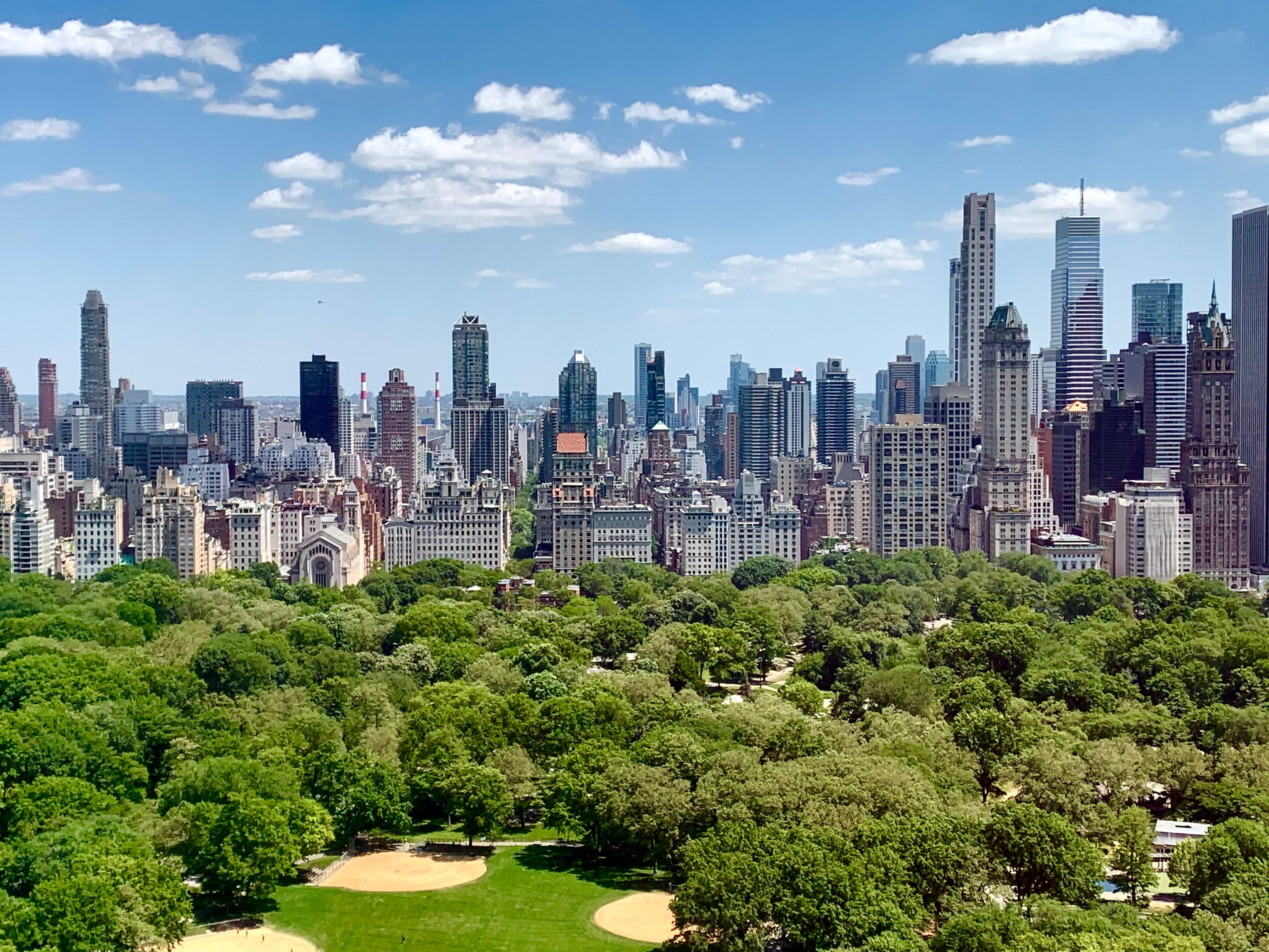 A view of central park and skyscraper buildings in New York on a summer day