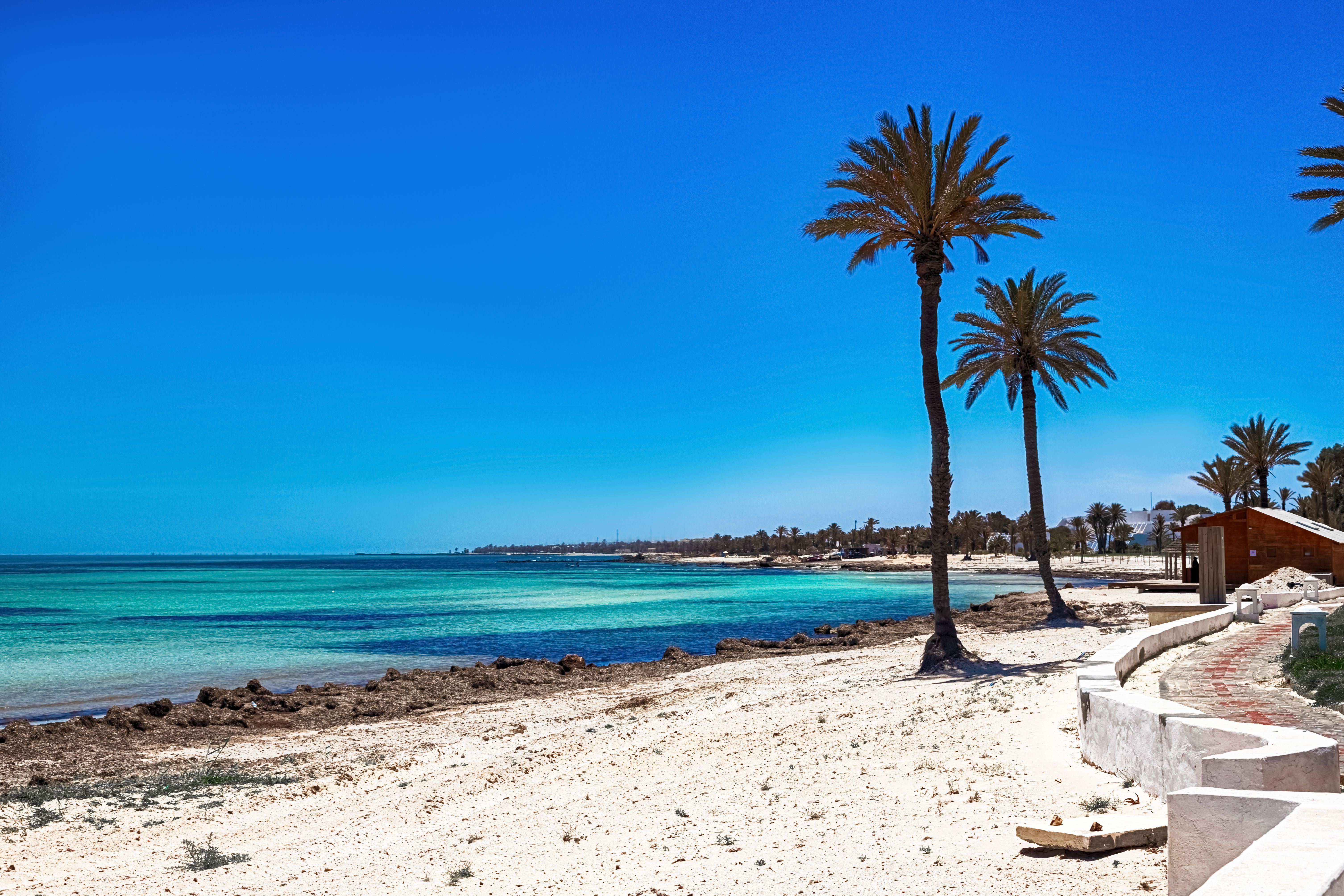 A beautiful white sand beach with palm trees on the island of Djerba in Tunisia