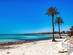 A beautiful white sand beach with palm trees on the island of Djerba in Tunisia