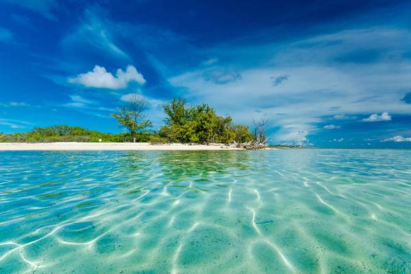 Sparkling, crystal-clear waters looking towards an idyllic white-sand islet with trees in Bimini in the Bahamas