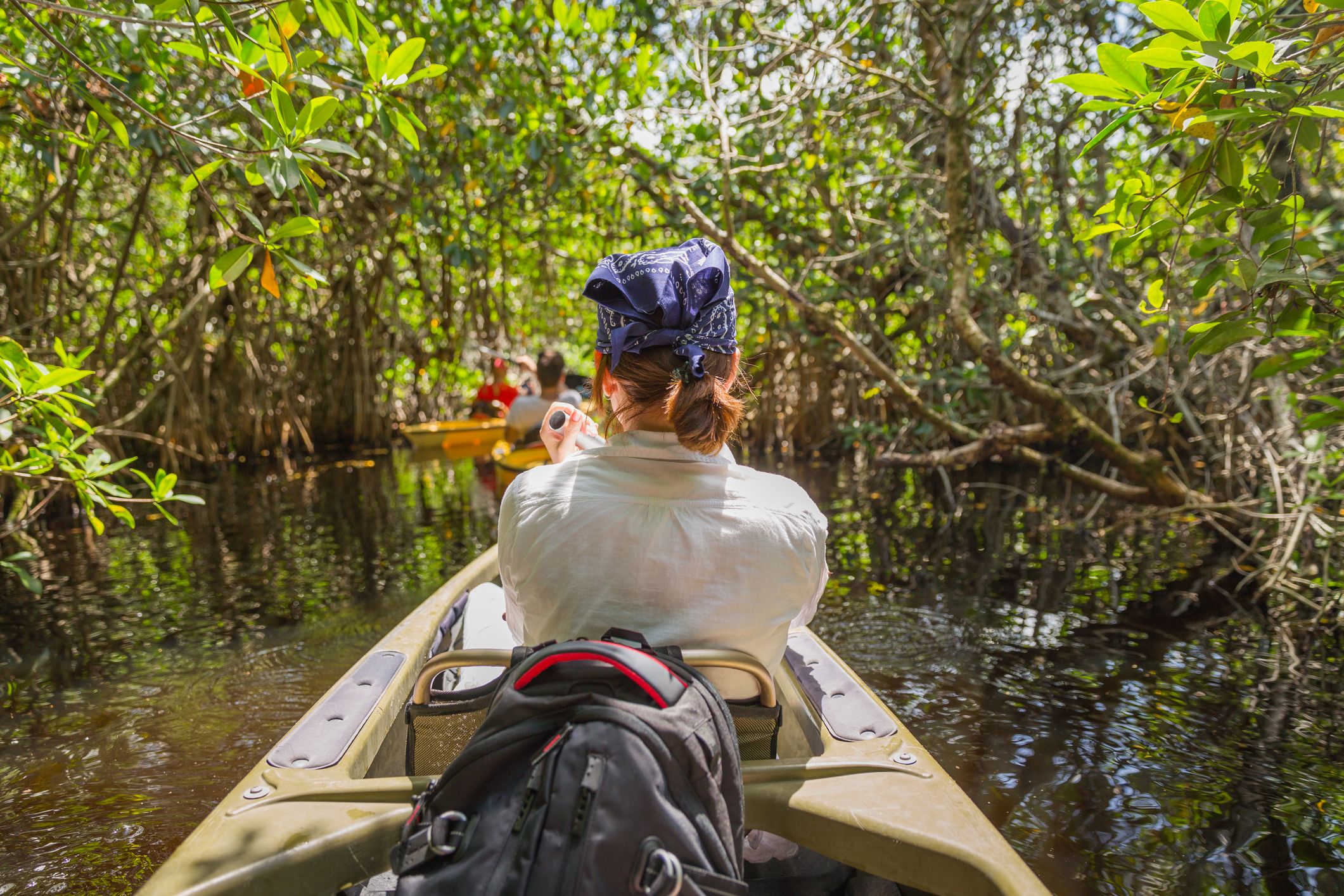 View of a woman kayaking through mangrove forests in the USA.