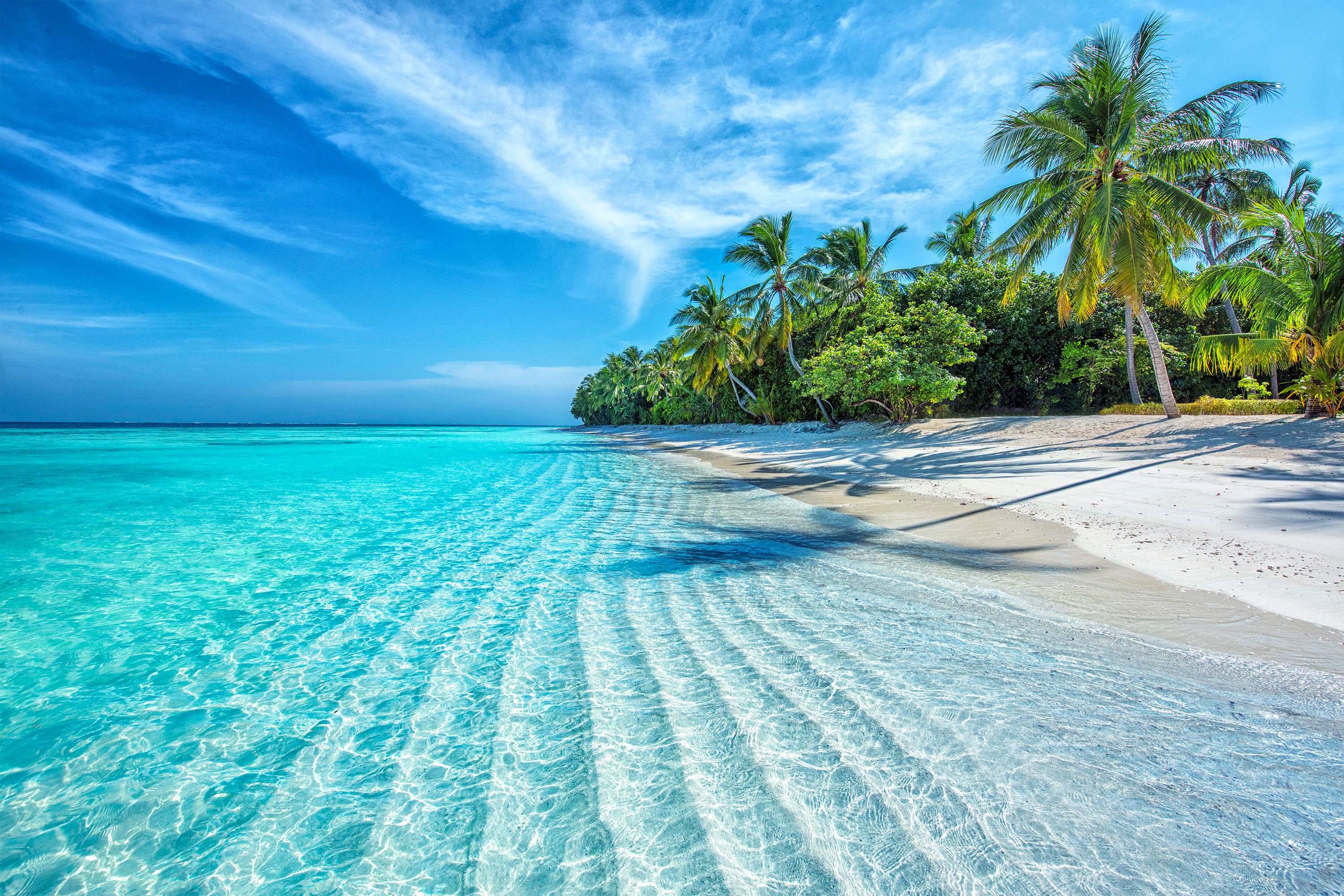 A typical tropical scene of crystal clear waters lapping white sands fringed by palm trees