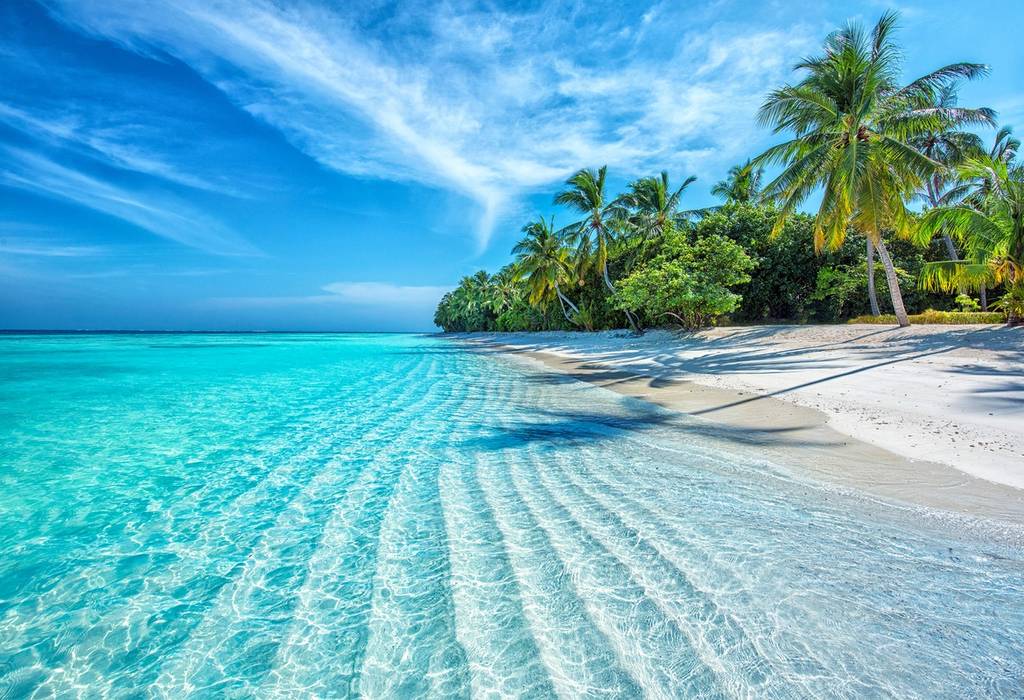 A typical tropical scene of crystal clear waters lapping white sands fringed by palm trees