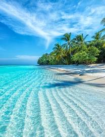 A typical tropical scene of crystal clear waters lapping white sands fringed by palm trees