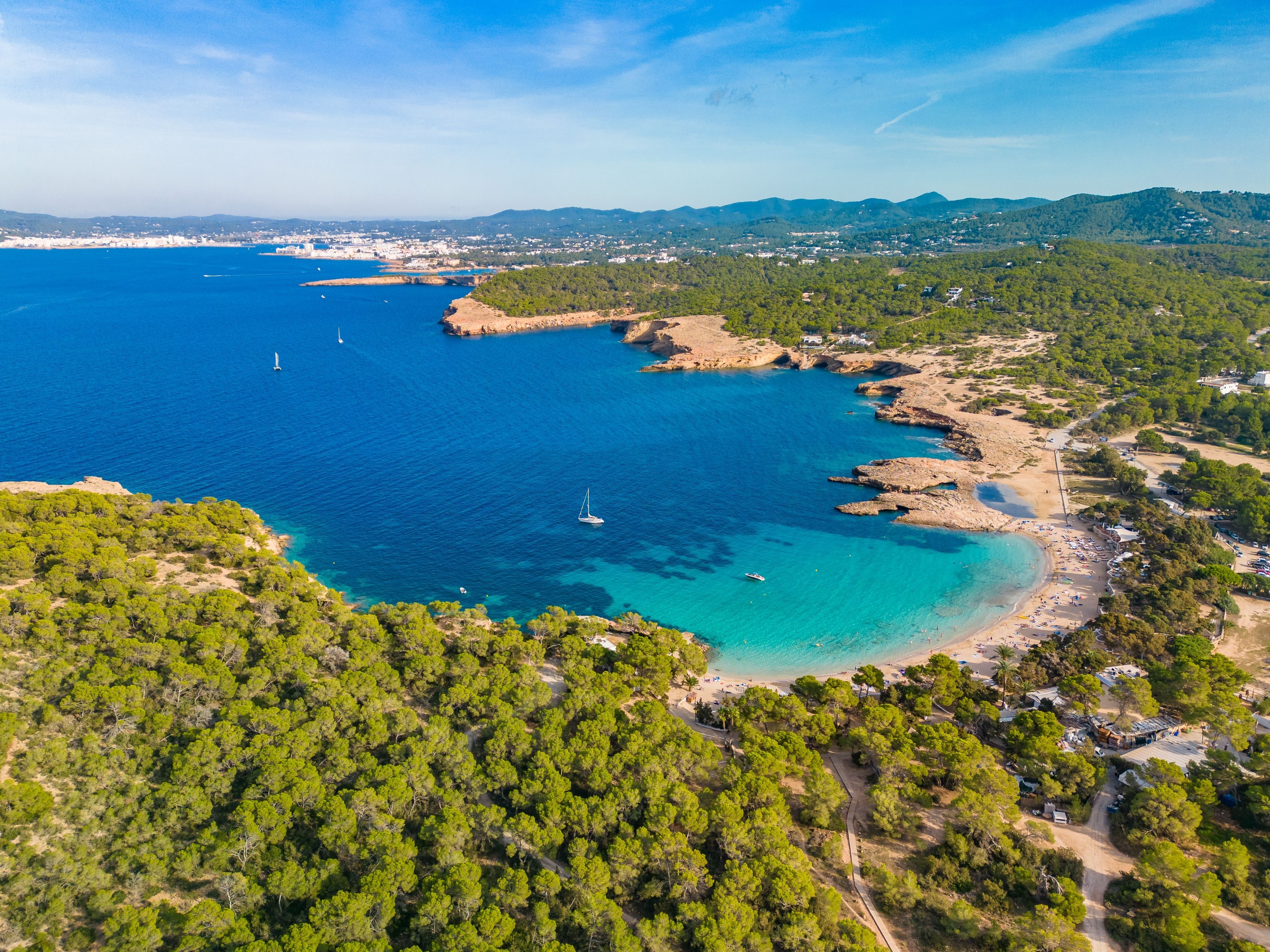 Aerial view of series of golden coves sheltered by lush pine trees on a sunny day