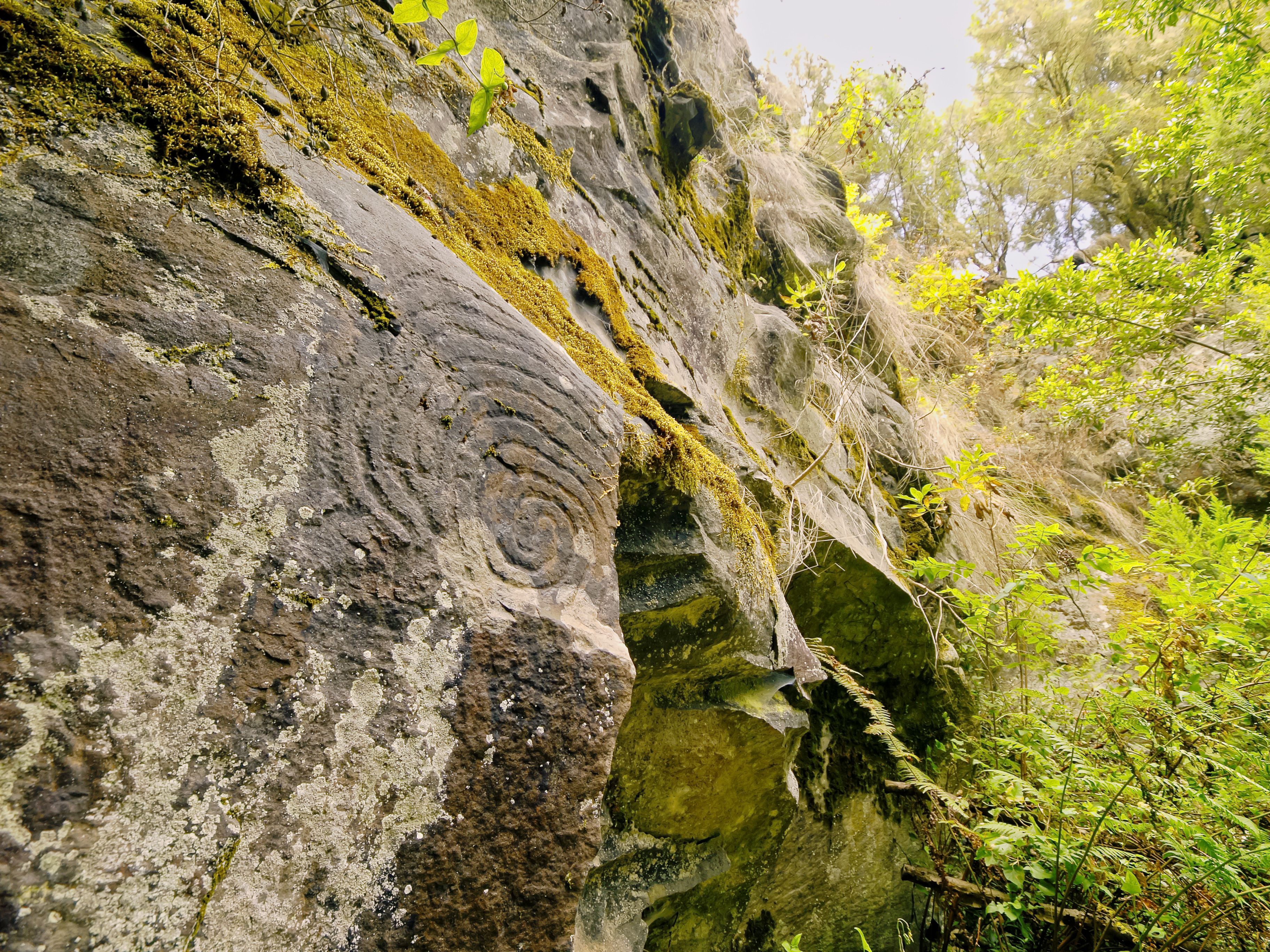 Ancient stone carvings in the Cultural Park La Zarza and Zarcita in La Palma, Canary Islands