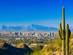 A skyline view of midtown Phoenix in Arizona with a cactus in the foreground and a mountain backdrop