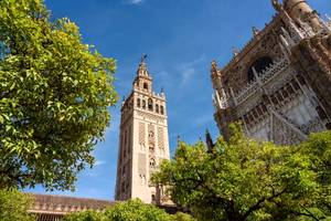Looking up at the La Giralda bell tower and ornate Seville Cathedral surrounded by trees