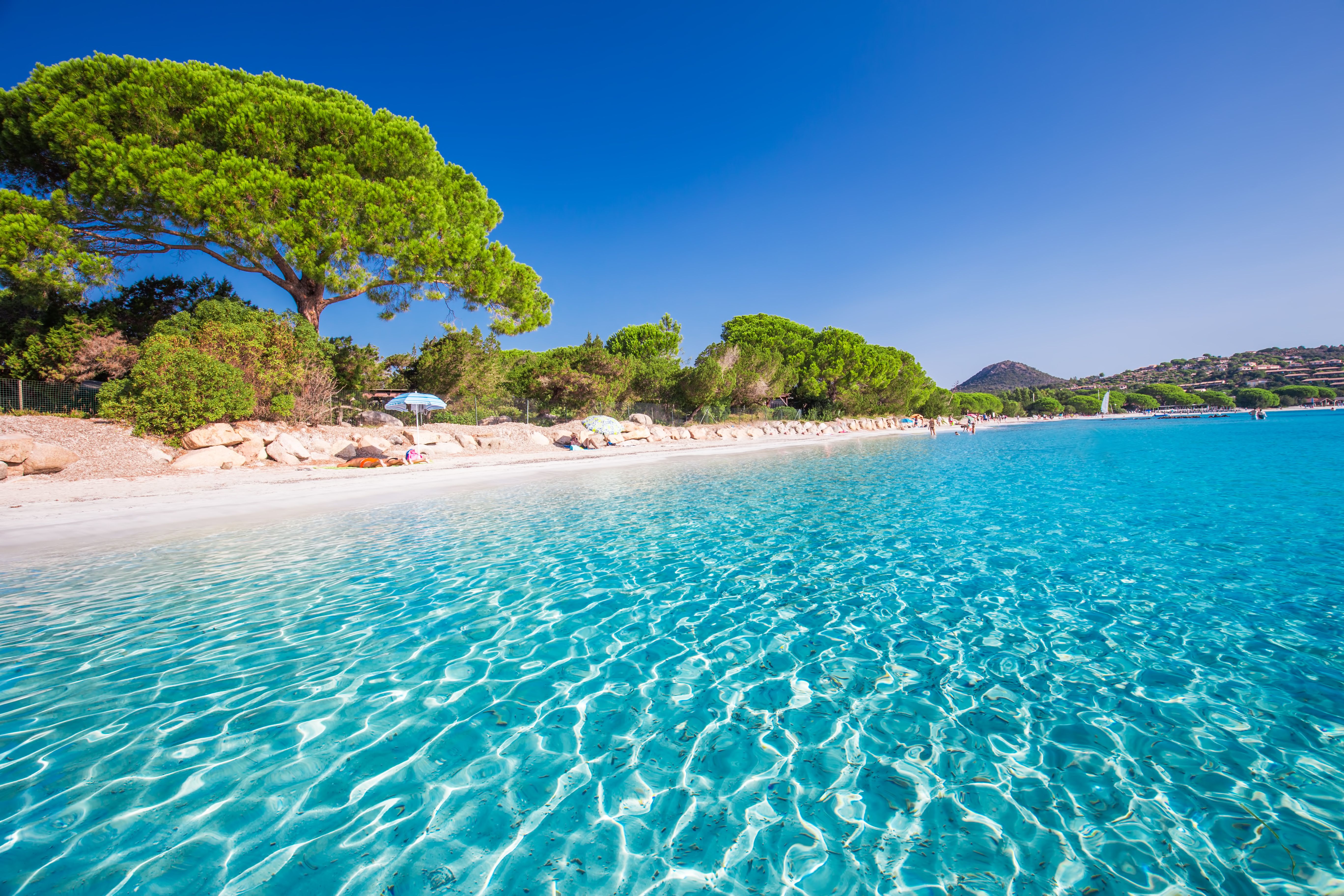 View from clear, sparkling waters towards a white-stand beach lined with vibrant green trees