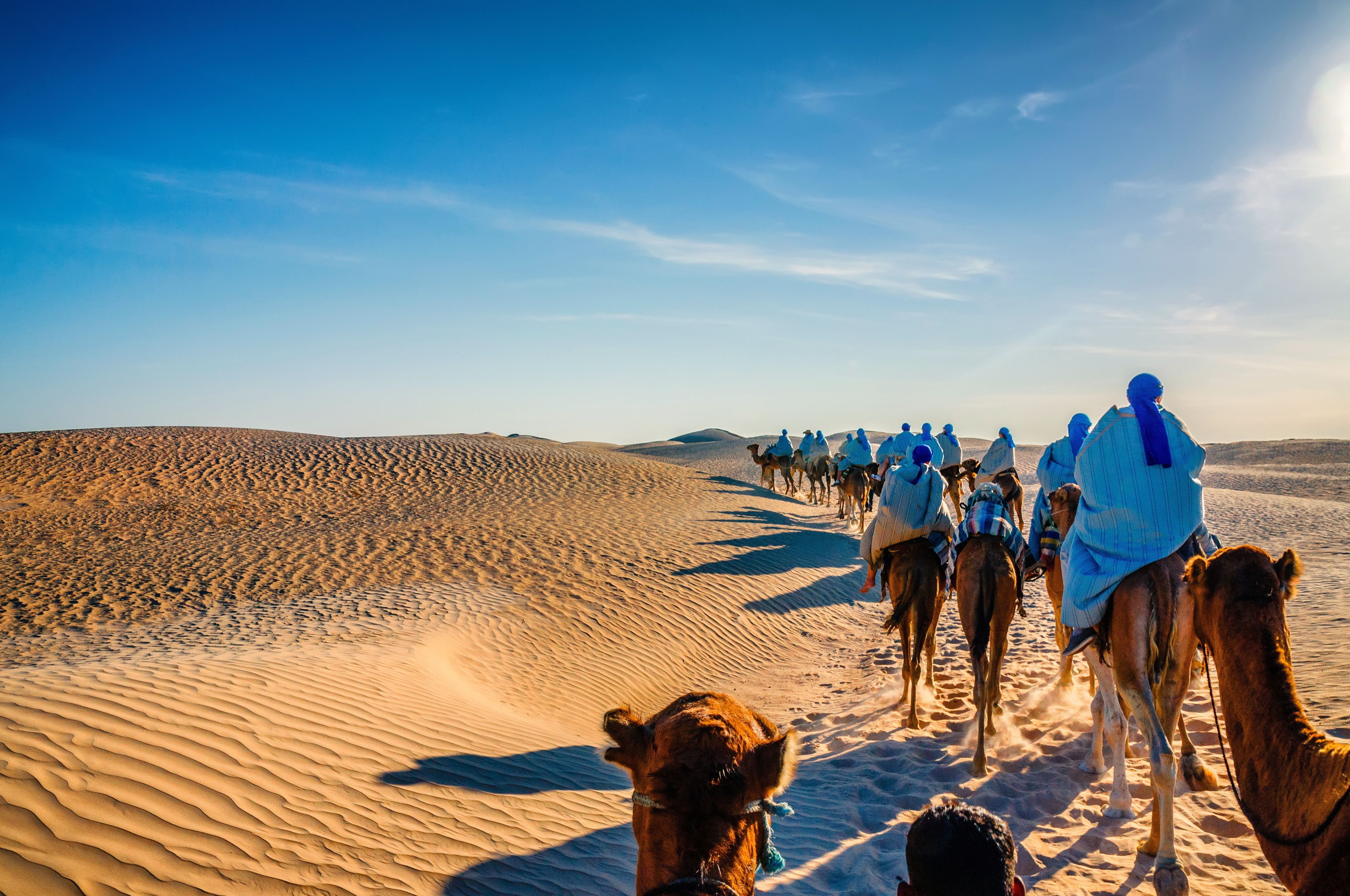 Camels caravan riding in the Sahara desert in Tunisia