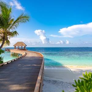 A view of a wooden water jetty extending out into turquoise sea from a white sand beach with palm trees in the Maldives