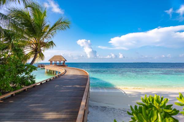 A view of a wooden water jetty extending out into turquoise sea from a white sand beach with palm trees in the Maldives