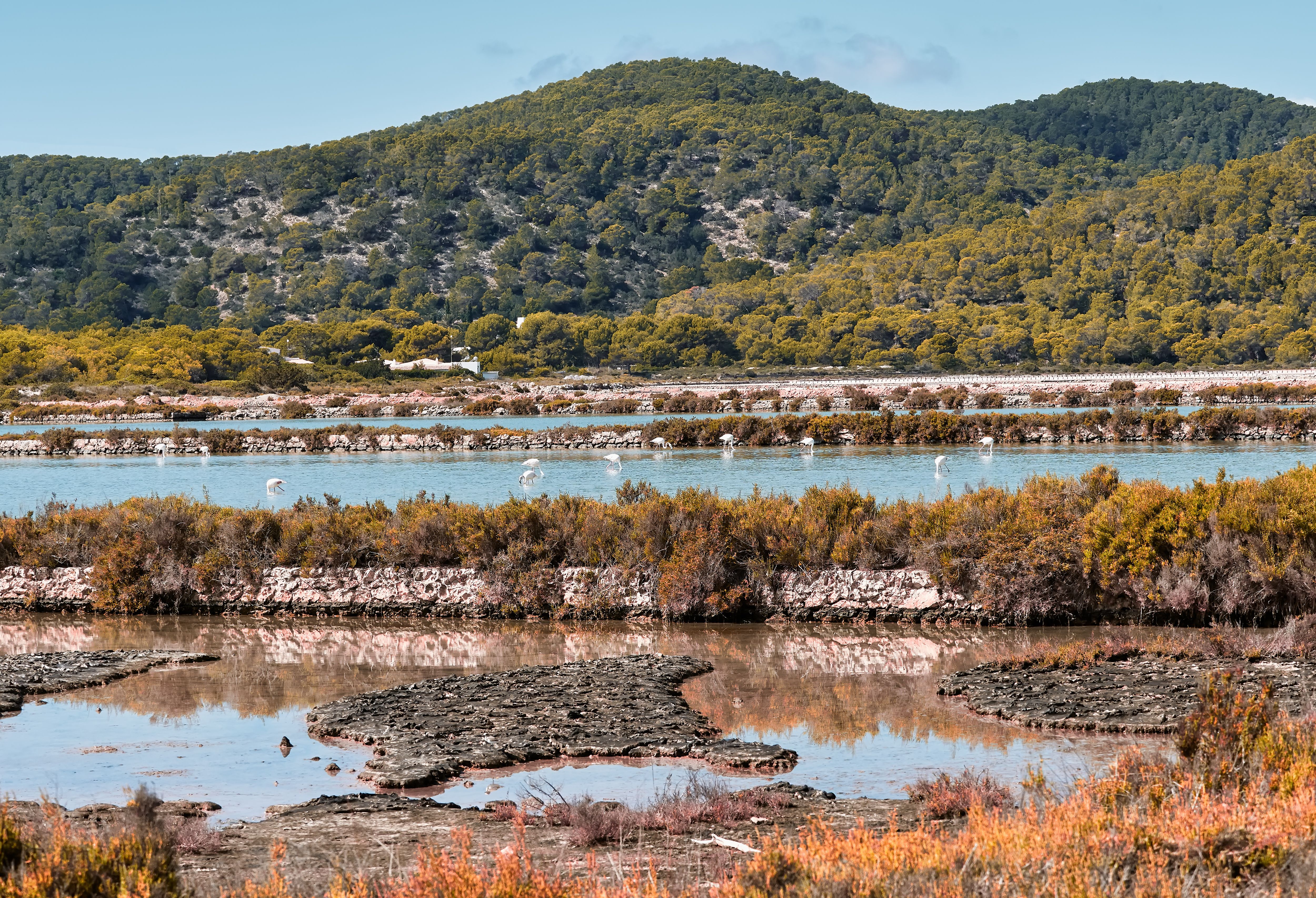 A view of Ses Salines Natural Park in Ibiza