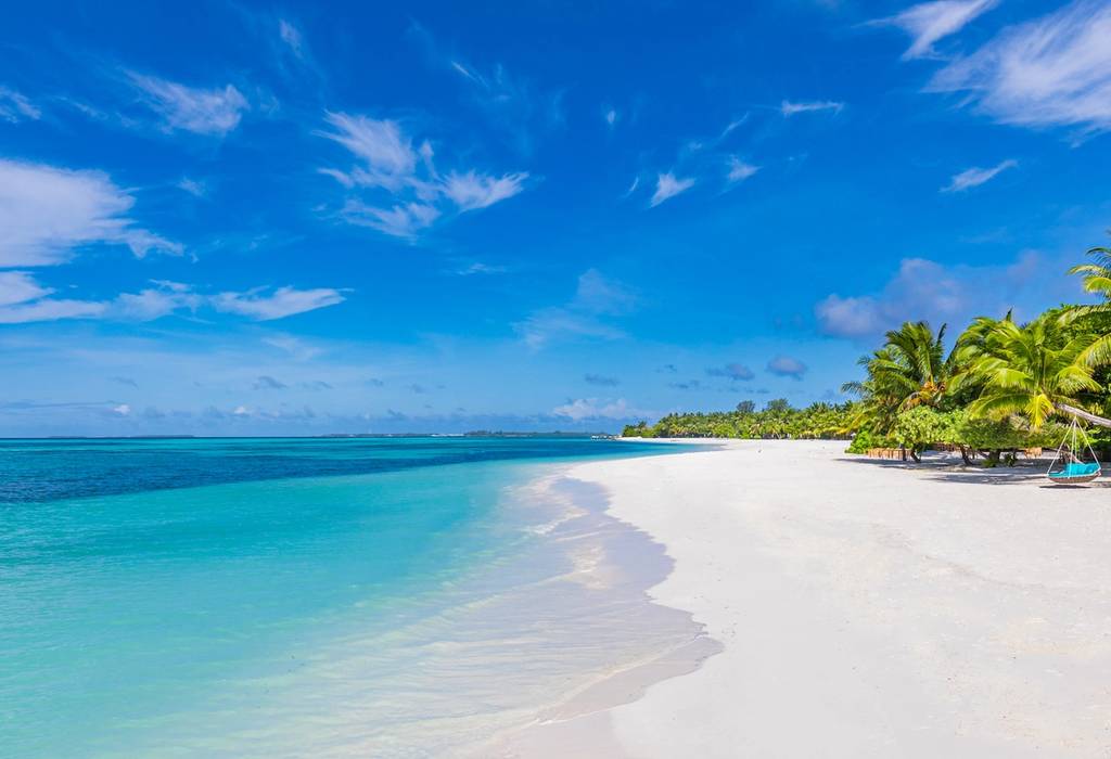 White sand beach with palm trees and turquoise sea in the Maldives on a sunny day