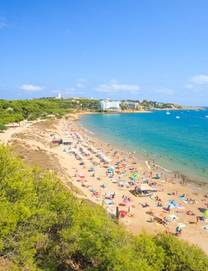 The busy Platja Llarga beach with rows of beach umbrellas on golden sand and dunes covered in green treens in Salou