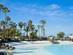 View across the shallow-water pool and tall palms of Lagos Martianes in Tenerife