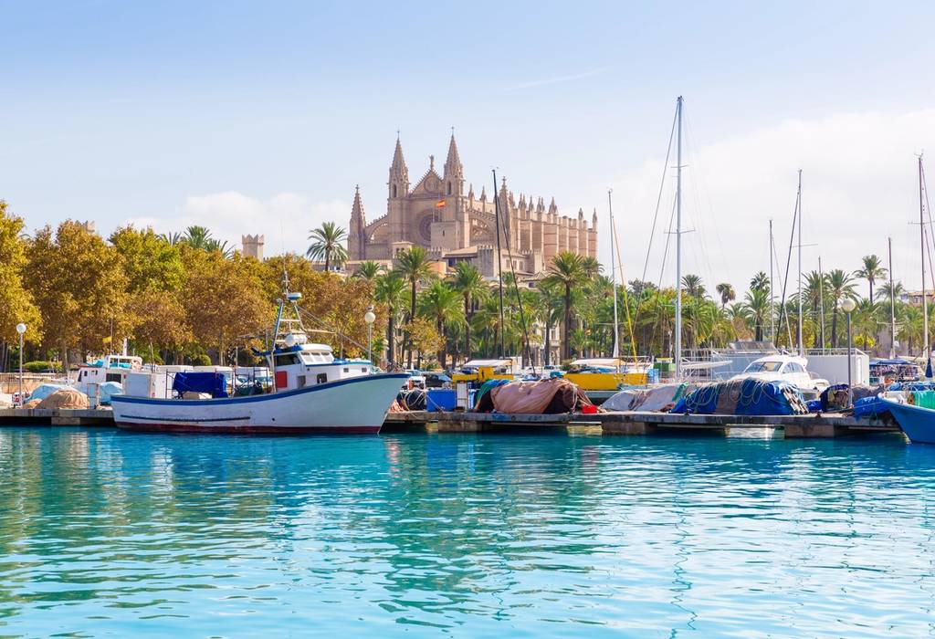View of Palma's huge gothic cathedral from a marina filled with boats and yachts on a sunny day