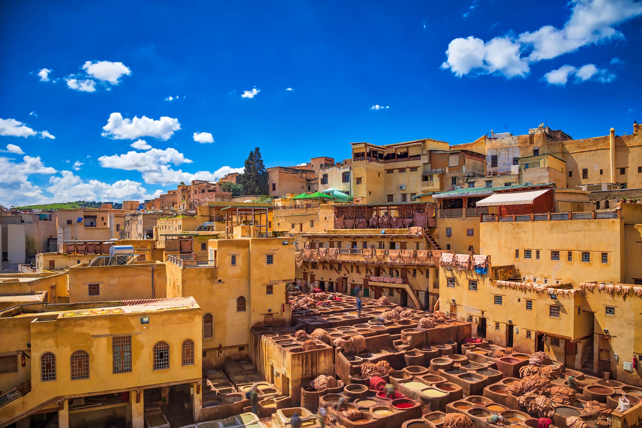 Traditional leather tannery in Fez Medina, Morocco
