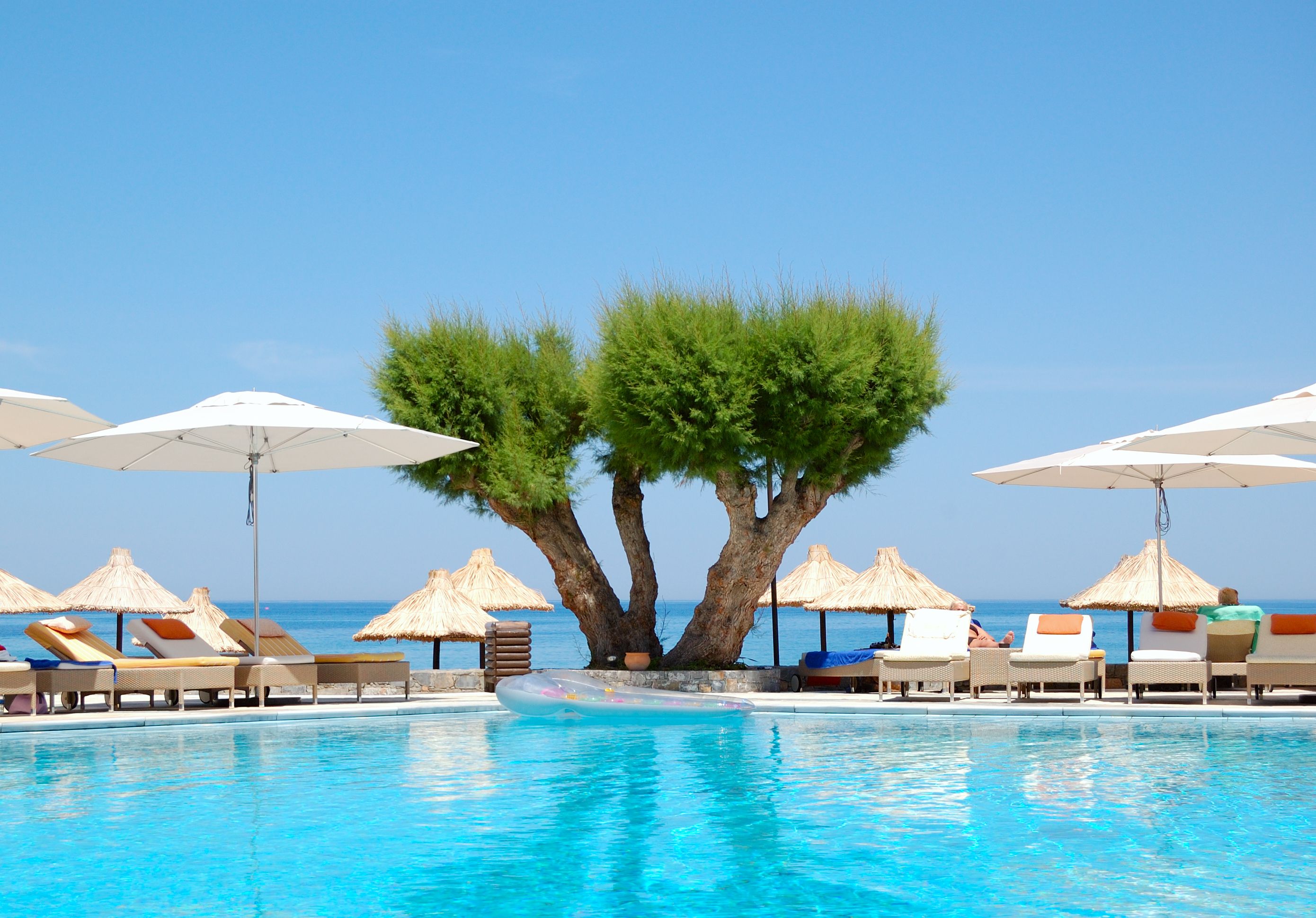 View of a sun-lounger lined pool that looks out over the ocean with a lush tree in the centre.
