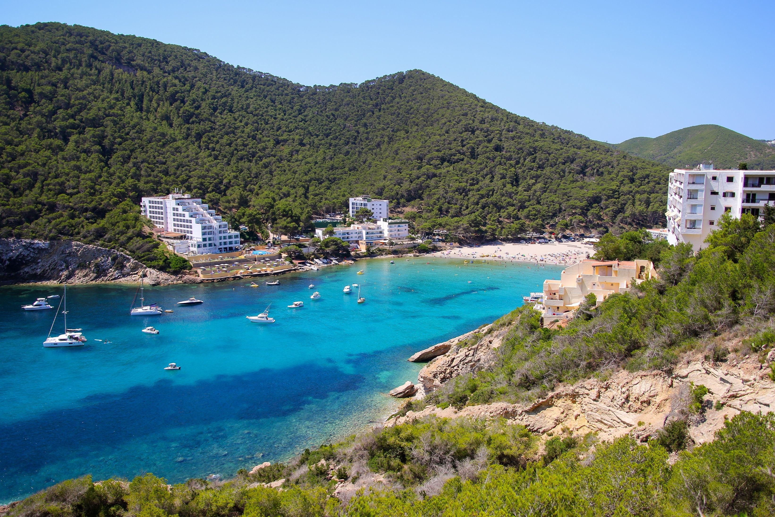 View of a cove with turquoise waters surrounded with pine covered hills