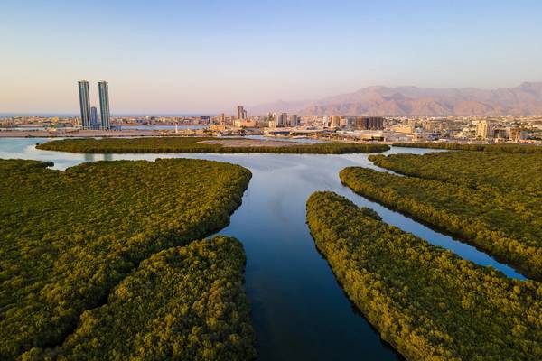 Aerial view of Ras al Khaimah cityscape rising over mangroves and a creek at sunset