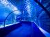An underwater tunnel in Antalya aquarium, Turkey