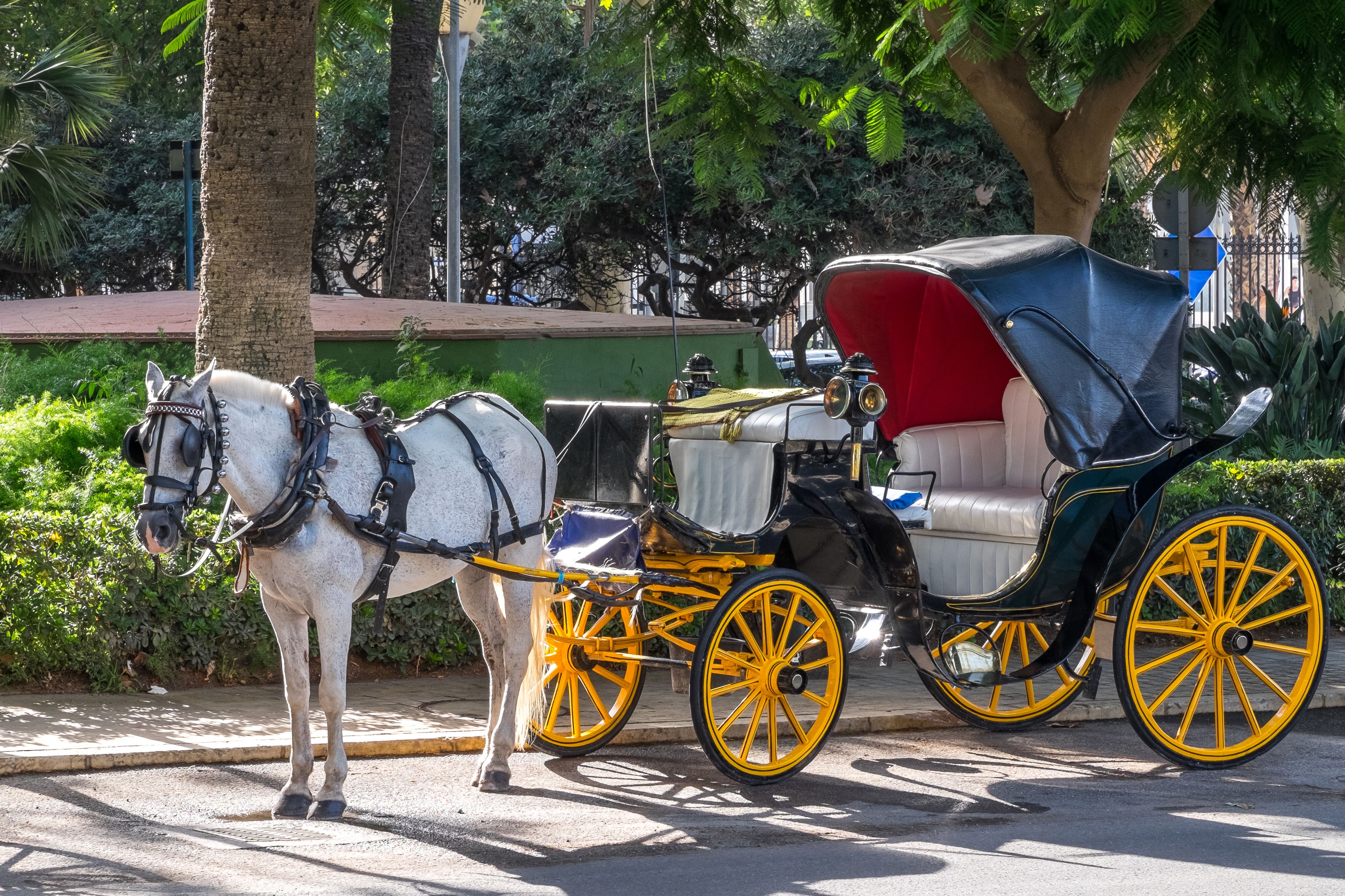 Horse-drawn carriage parked next to the Plaza de la Marina in Malaga