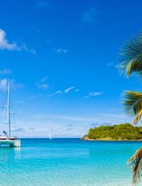 A catamaran anchored in clear, calm Caribbean waters with a palm tree in the foreground