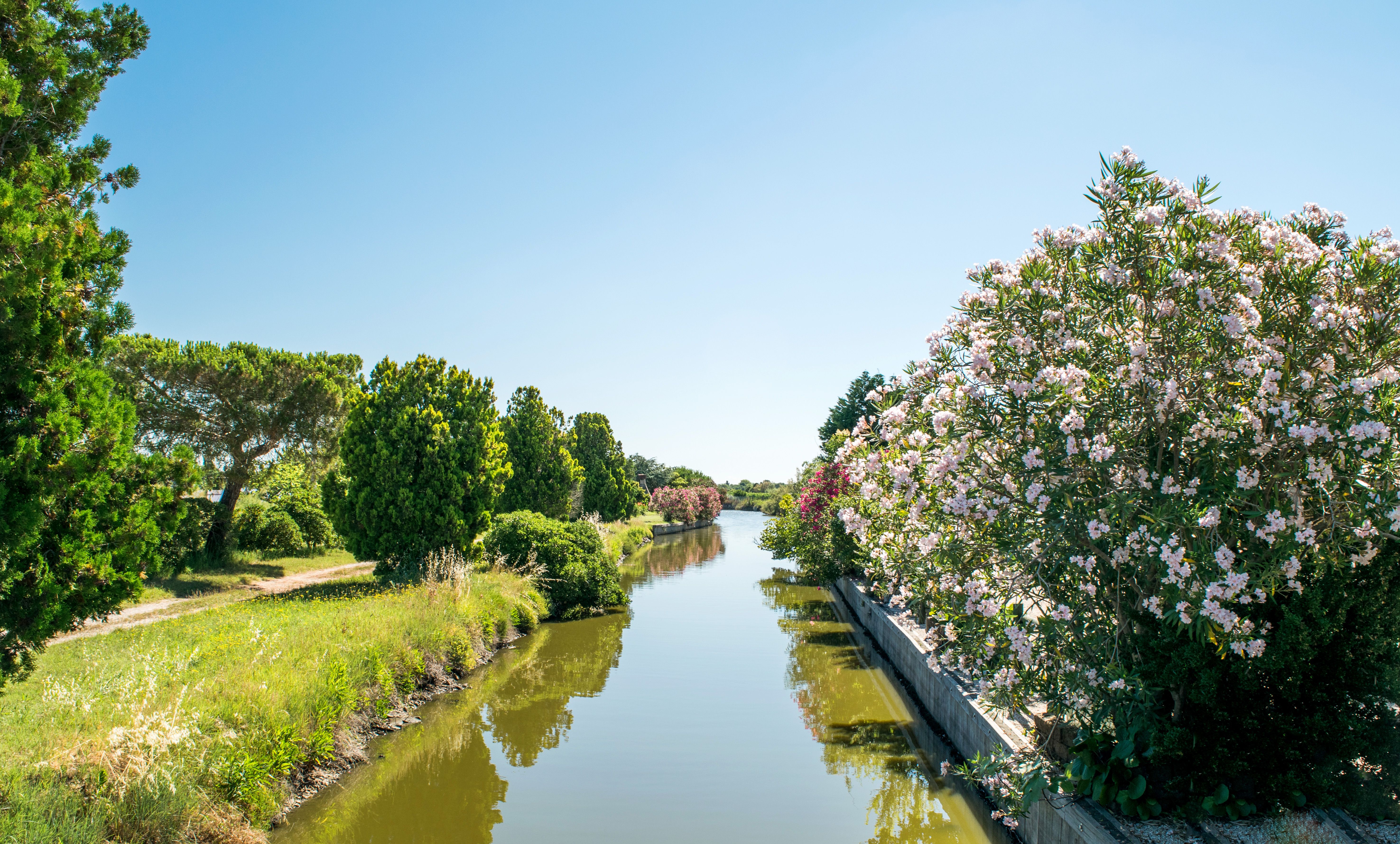 A view of a canal and greenery on Saint Erasmus island, Venice