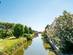 A view of a canal and greenery on Saint Erasmus island, Venice