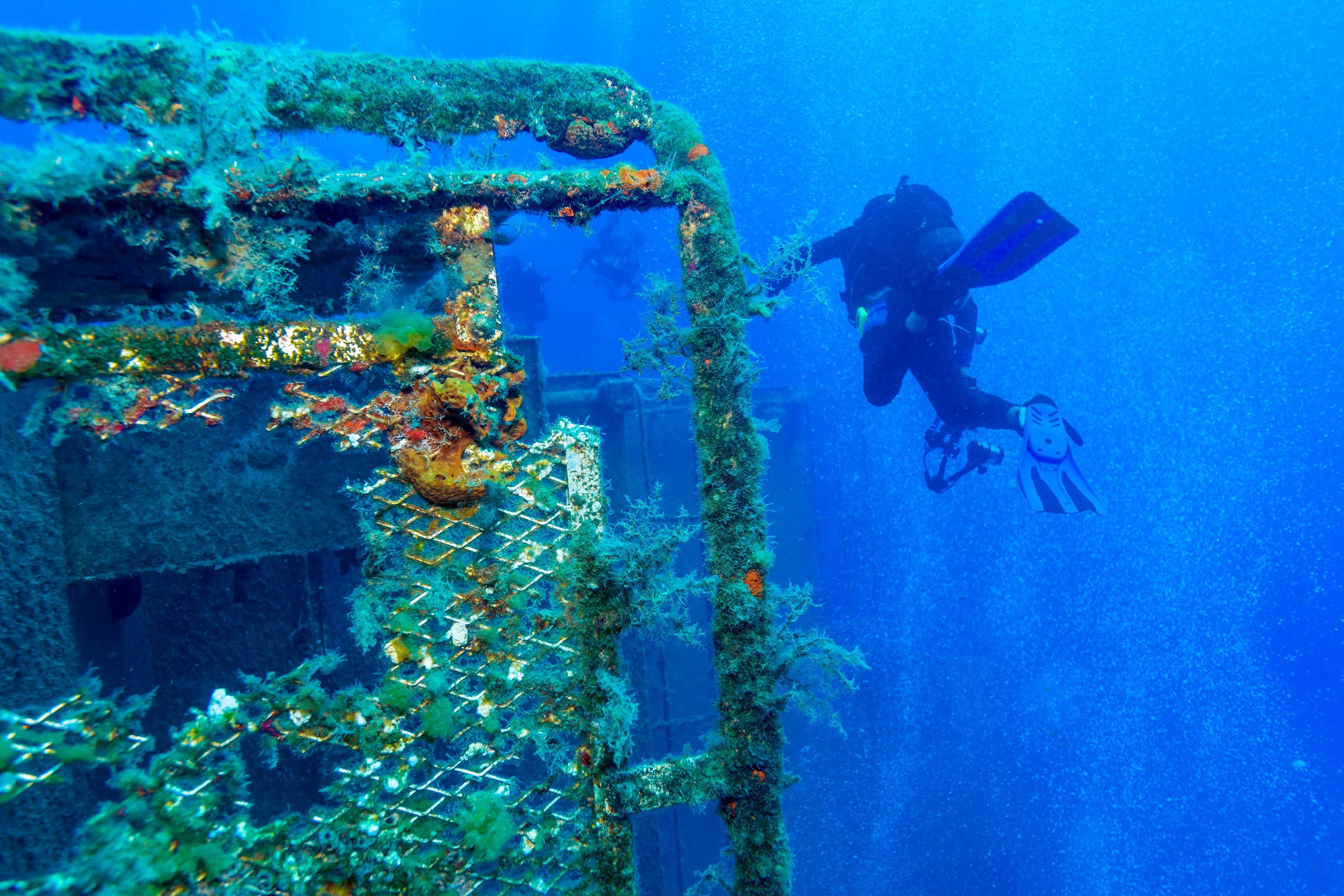 View of a mossy underwater shipwreck with a scuba diver in the background.