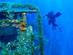 View of a mossy underwater shipwreck with a scuba diver in the background.