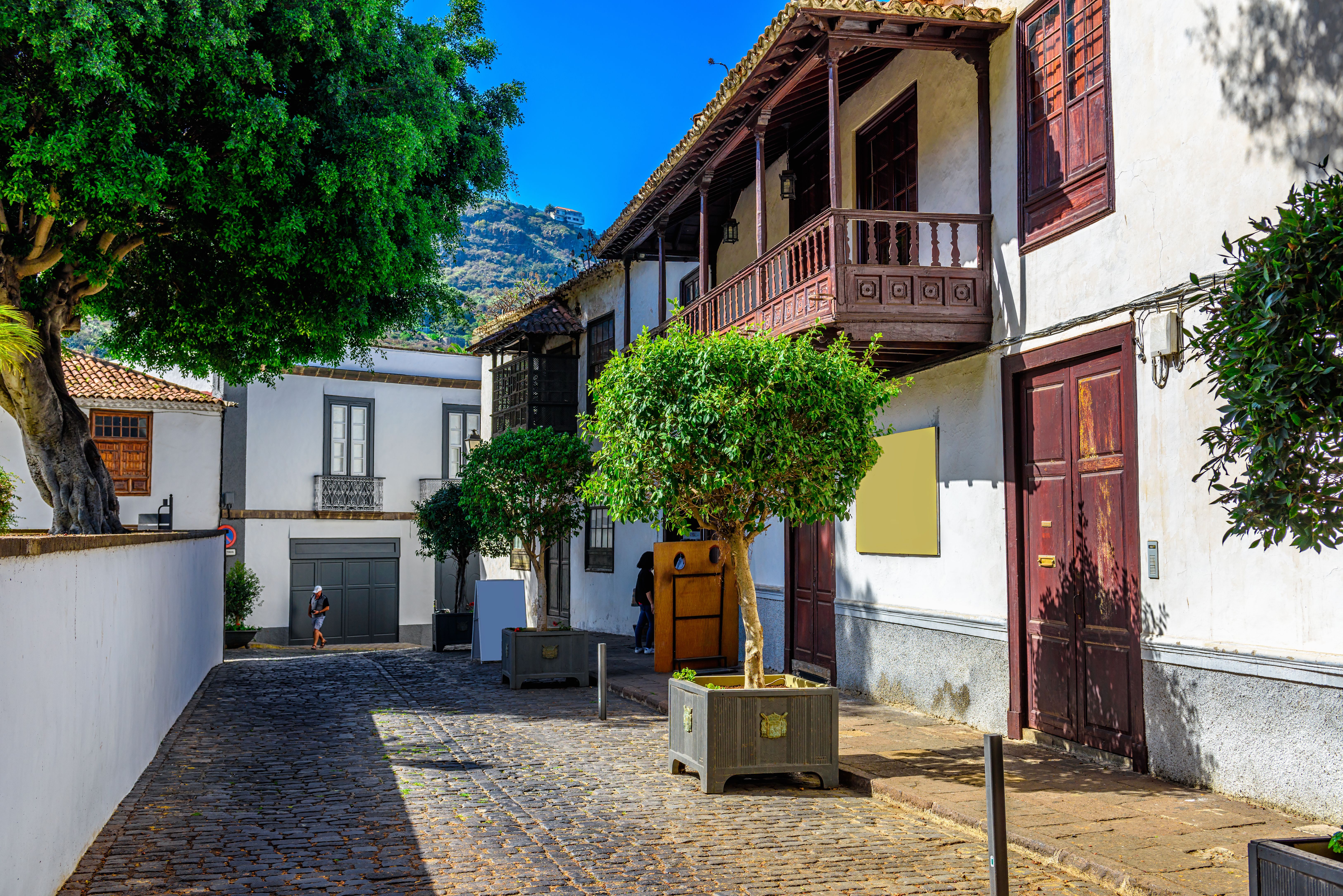 Traditional houses on a street in Icod de los Vinos town in Tenerife