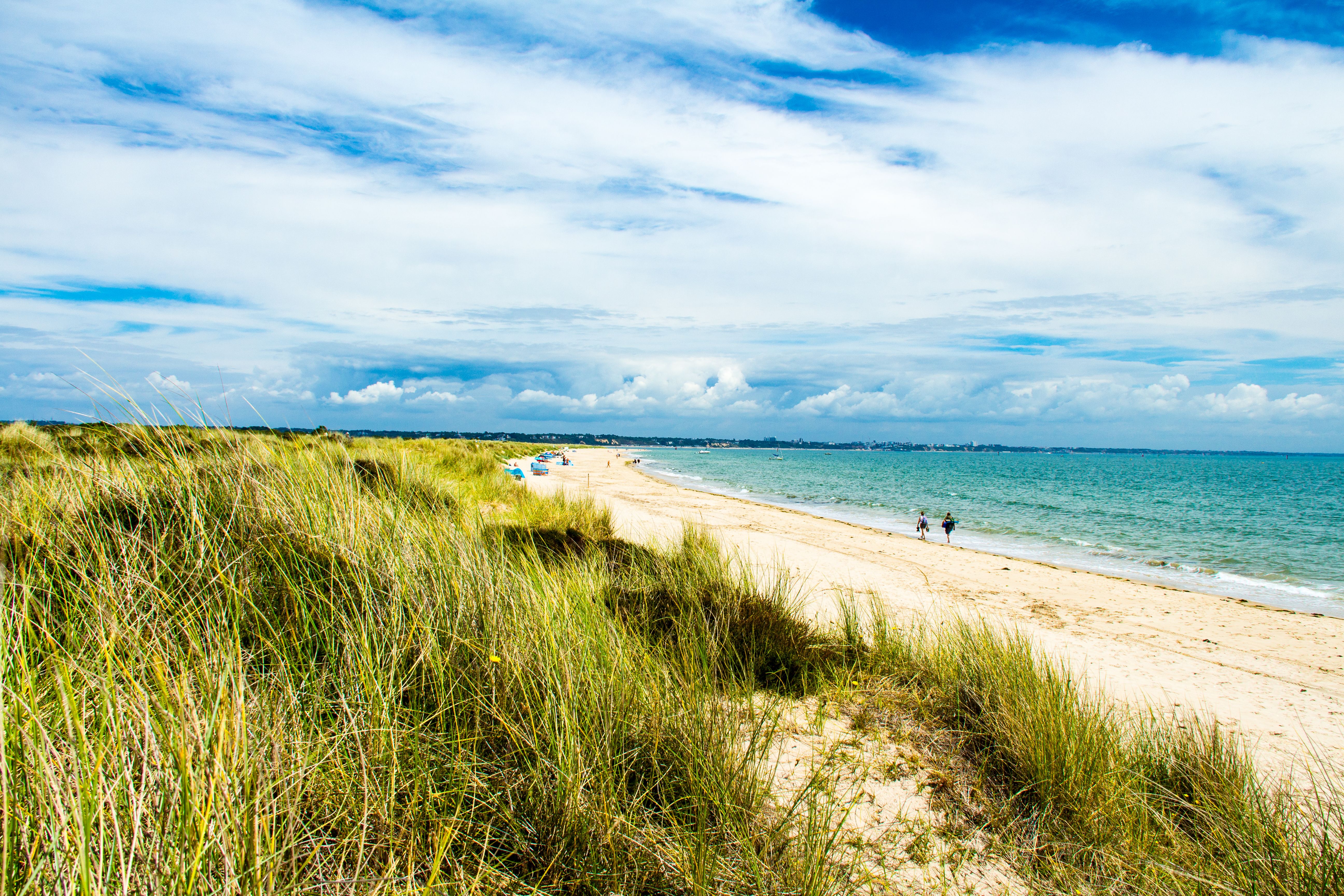 A view across grassy dunes of Studland beach in Dorset