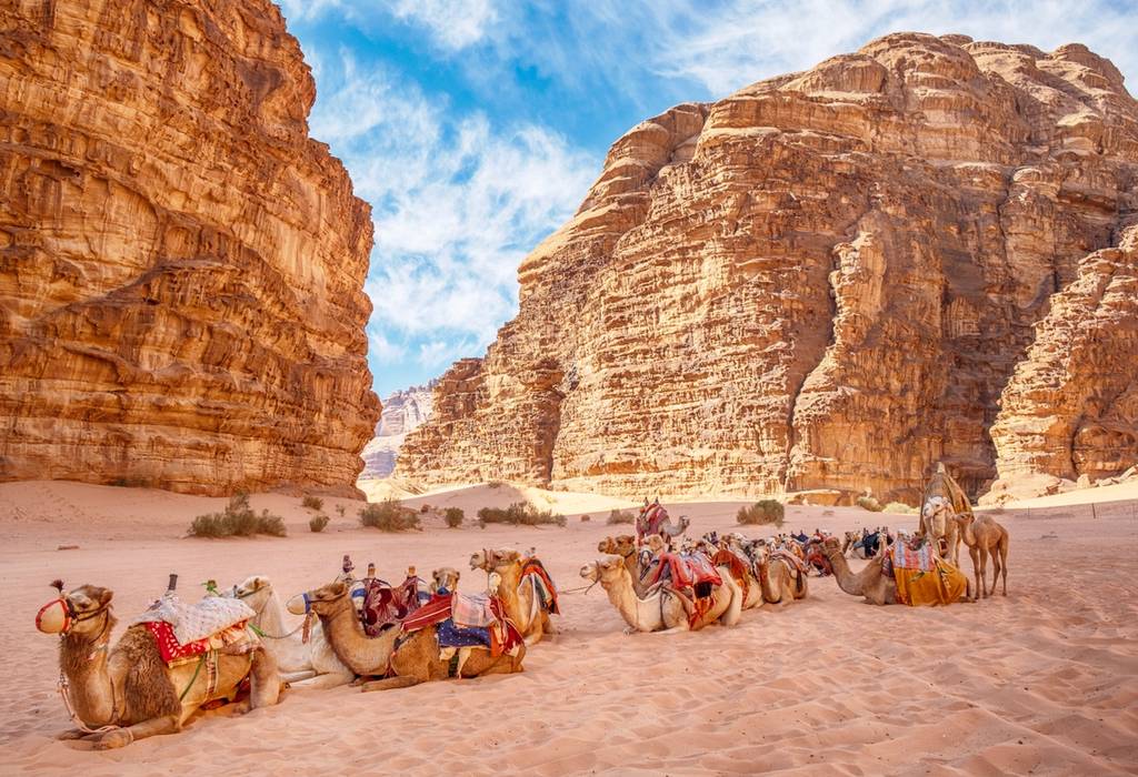 A picture showing camels sitting in the sand of Wadi Rum, also known as the Valley of the Moon