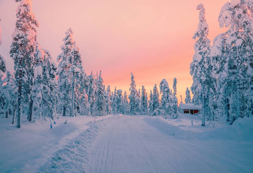 Beautiful pink color winter sunset landscape with snowy forest and big snow covered pine trees in Levi, Lapland, Finland