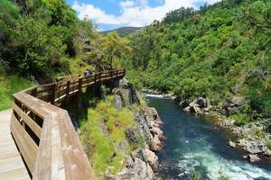 A wooden walkway runs alongside the rushing River Paiva, surrounded by lush greenery on both sides