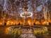Illuminated fountain in Zrinjevac park, Zagreb, with Christmas market stalls in the background