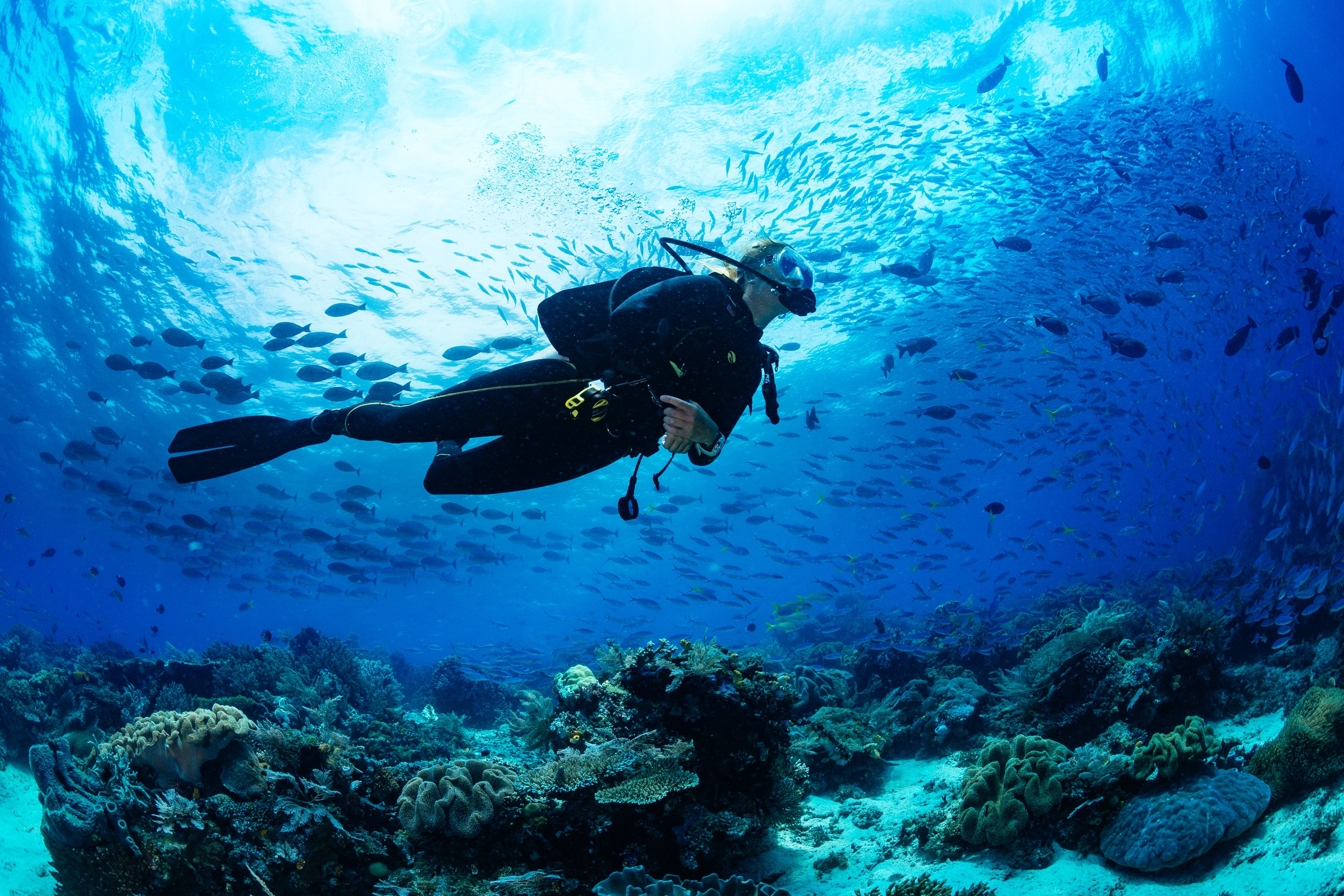 A woman scuba diving in tropical water with fish and coral