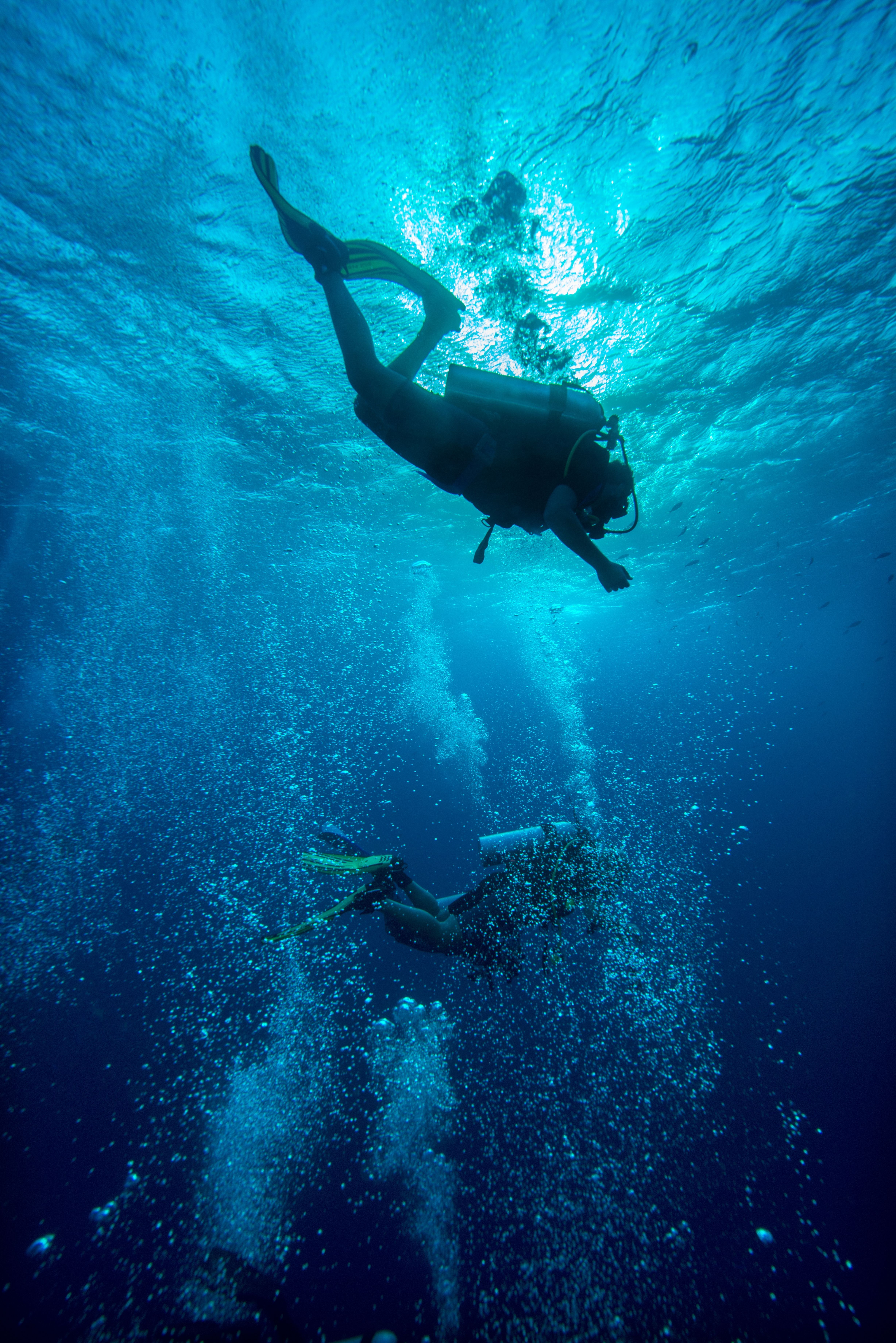 Two scuba divers diving down in clear blue sea