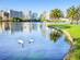 Swans in a lake on a sunny day with Orlando city in the background
