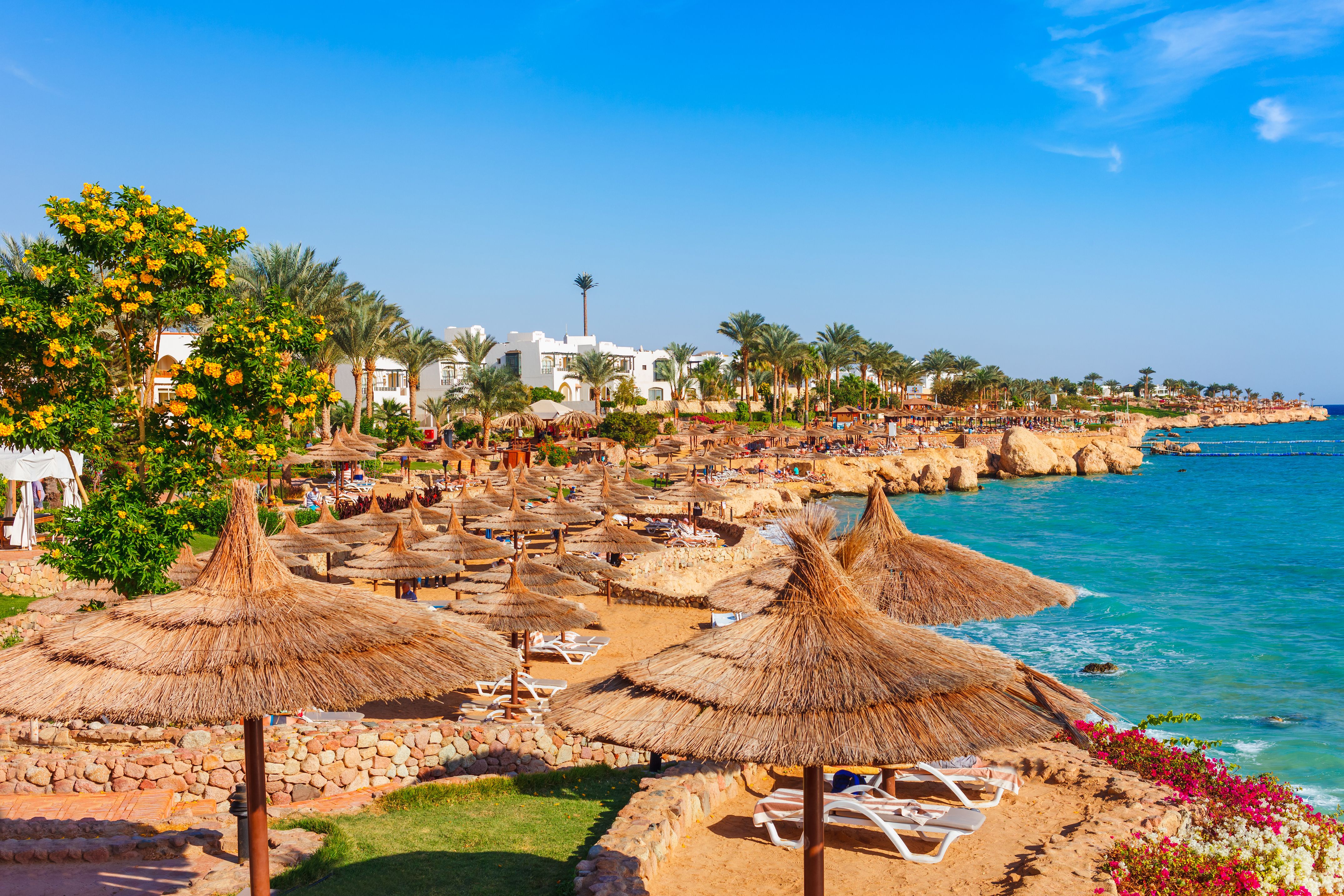 A busy beach resort in Sharm el Sheikh with lots of thatched umbrellas and sun loungers lining the sand